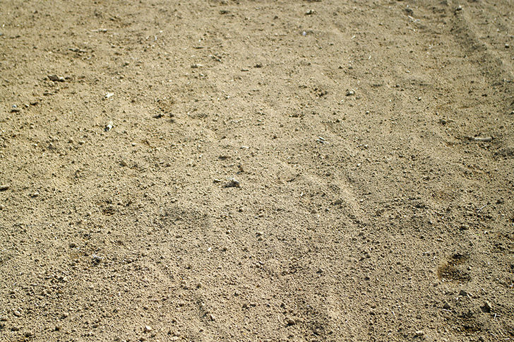 砂 の商用利用可フリー写真素材一覧 フォトック
