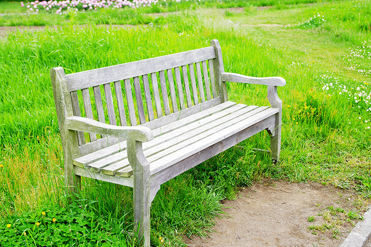 公園のベンチのフリー写真素材