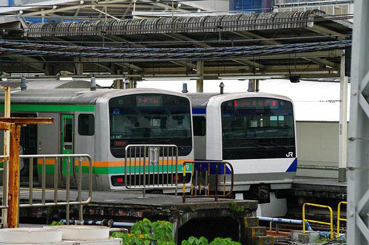 宇都宮線と常磐線（上野駅ホーム）のフリー写真素材