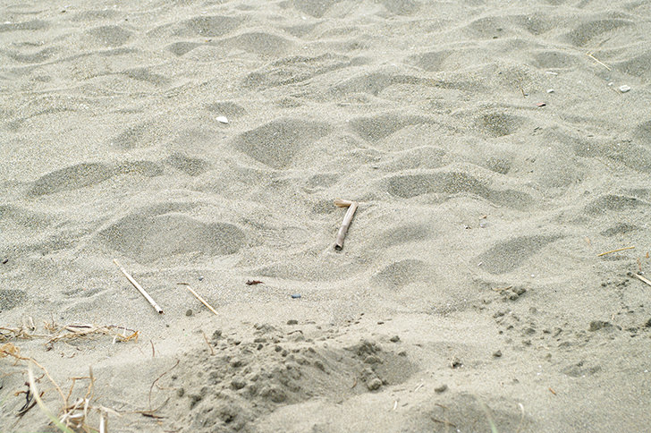 砂浜の商用利用可フリー写真素材969 フォトック