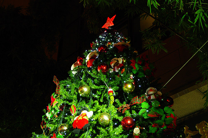 クリスマスツリーの商用利用可能なフリー写真素材