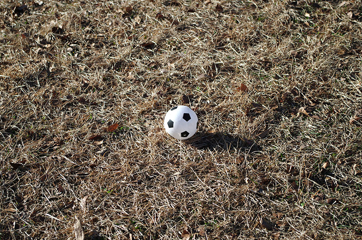 サッカーボール(おもちゃ)のフリー写真素材