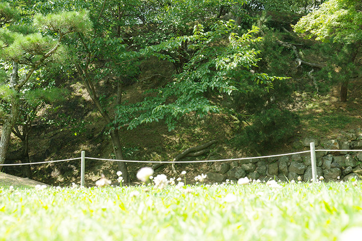 姫路城の石垣と自然のフリー写真素材