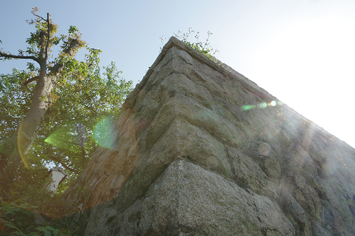 天王寺公園茶臼山付近の石垣のフリー写真素材