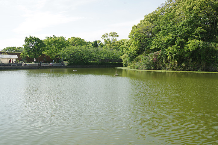 天王寺公園のフリー写真素材