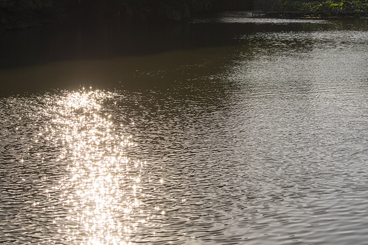 反射する水面のフリー写真素材