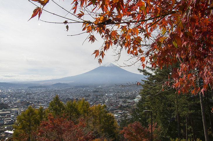 富士山と紅葉のフリー写真素材
