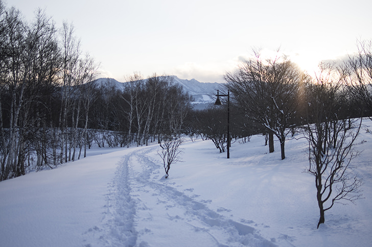 雪景色の商用利用可フリー写真素材4052 フォトック
