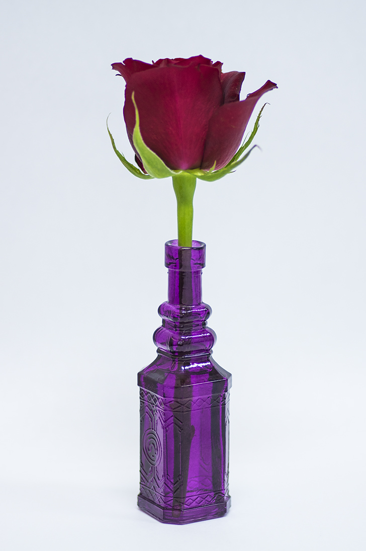 花瓶に入ったバラのフリー写真素材