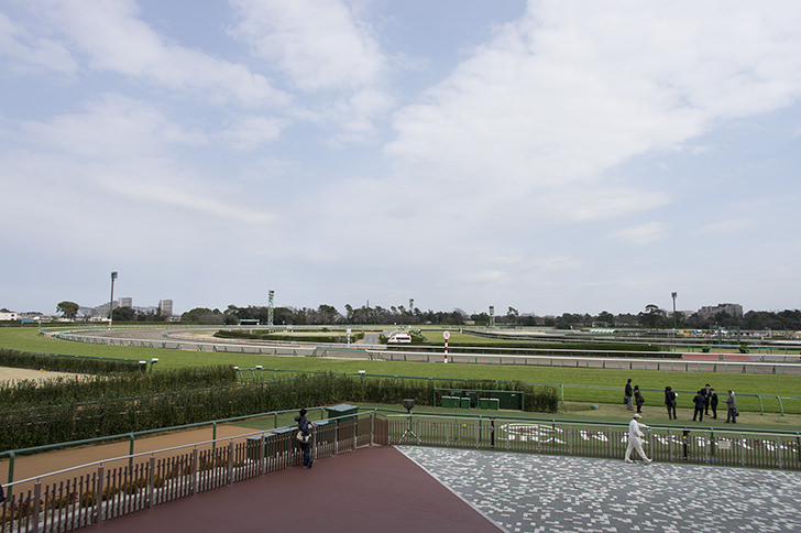 中山競馬場の商用利用可フリー写真素材4224 フォトック