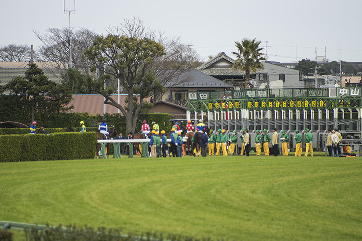 競馬のスターティングゲートの商用利用可フリー写真素材4255 フォトック