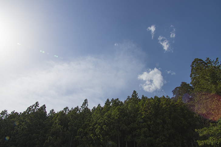 空と森の商用利用可フリー写真素材4573 フォトック
