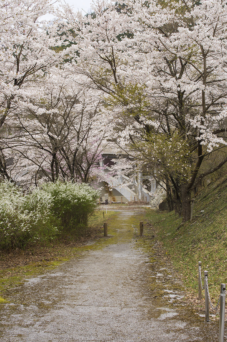 渡良瀬公園のフリー写真素材