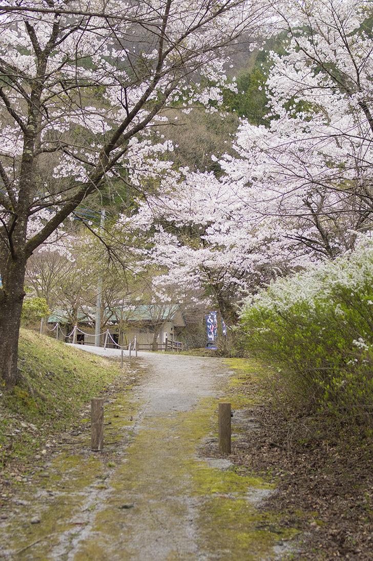 渡良瀬公園の商用利用可能なフリー写真素材