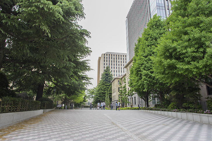 早稲田大学のフリー写真素材
