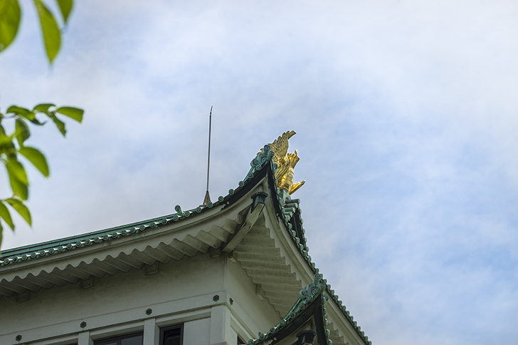 名古屋城の金の鯱のフリー写真素材