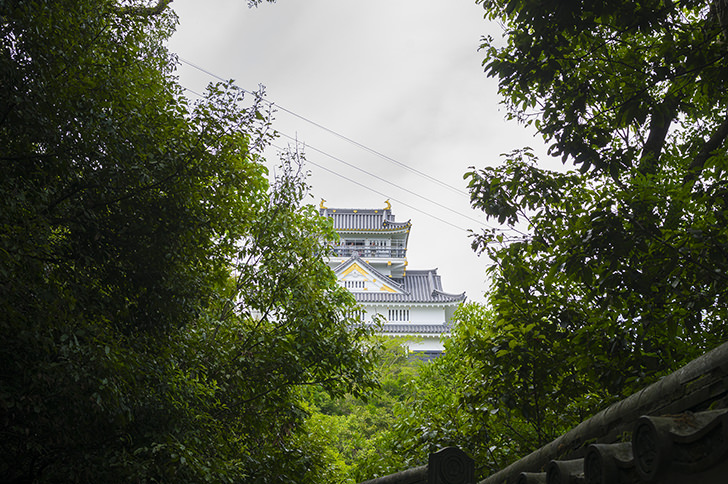 岐阜城の商用利用可能なフリー写真素材