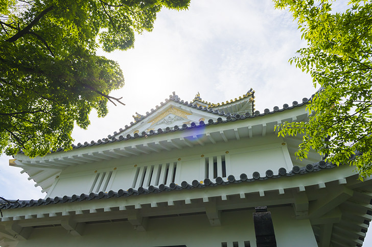 岐阜城のフリー写真素材