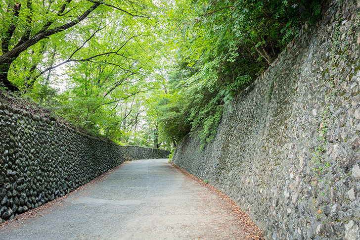 青梅 永山公園通付近のフリー写真素材