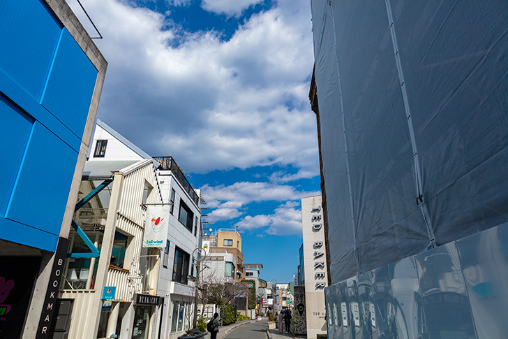 原宿　旧渋谷川遊歩道路のフリー写真素材
