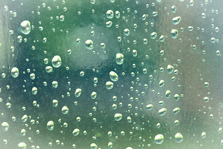 雨の水滴の商用利用可能なフリー写真素材