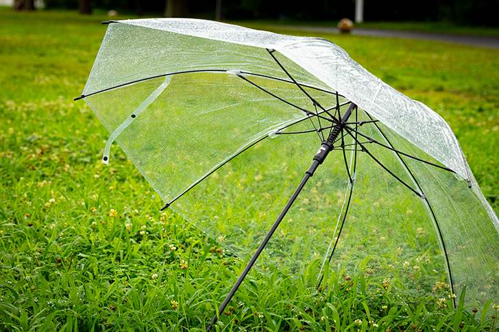 傘のフリー写真素材