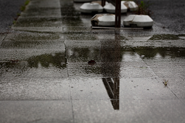 小雨のフリー写真素材