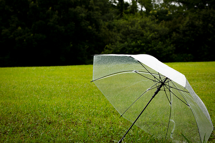 傘のフリー写真素材