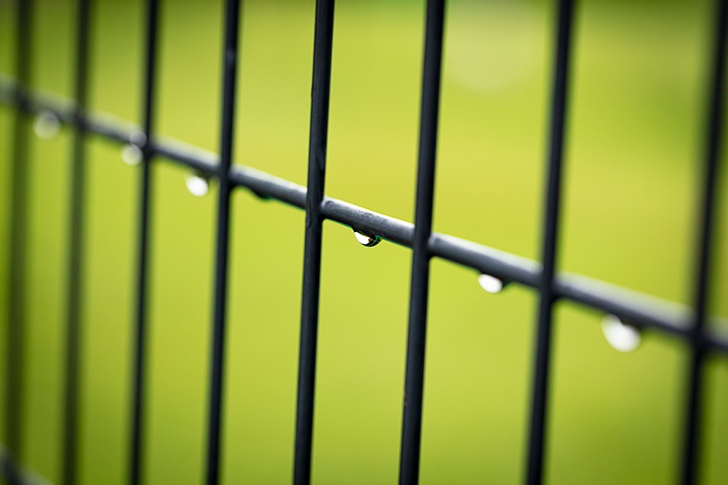 水滴のついた柵のフリー写真素材