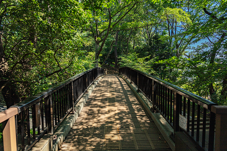 多摩川台公園付近 虹橋のフリー写真素材