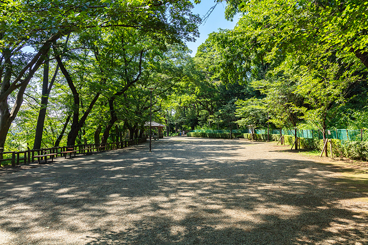 多摩川台公園のフリー写真素材