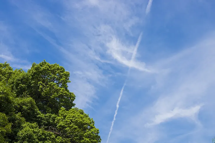 飛行機雲のフリー写真素材