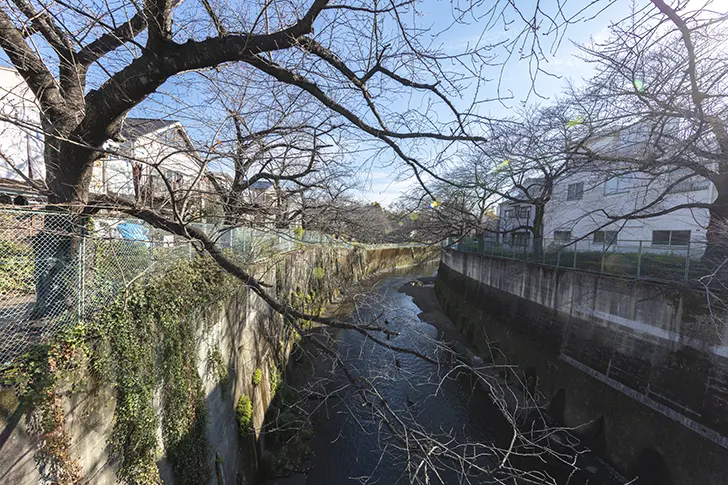 王子新道から見える石神井川のフリー写真素材