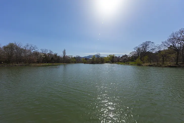中島公園の池のフリー写真素材