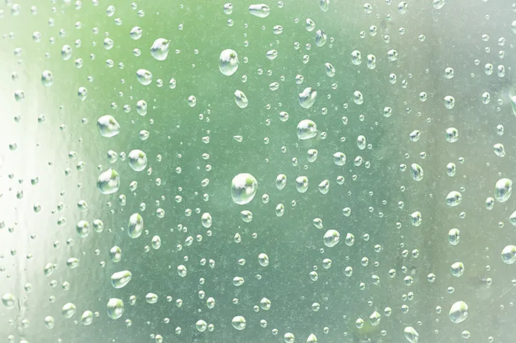 雨の水滴のフリー写真素材