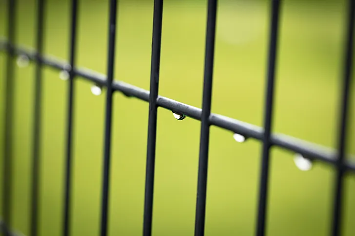水滴のついた柵のフリー写真素材
