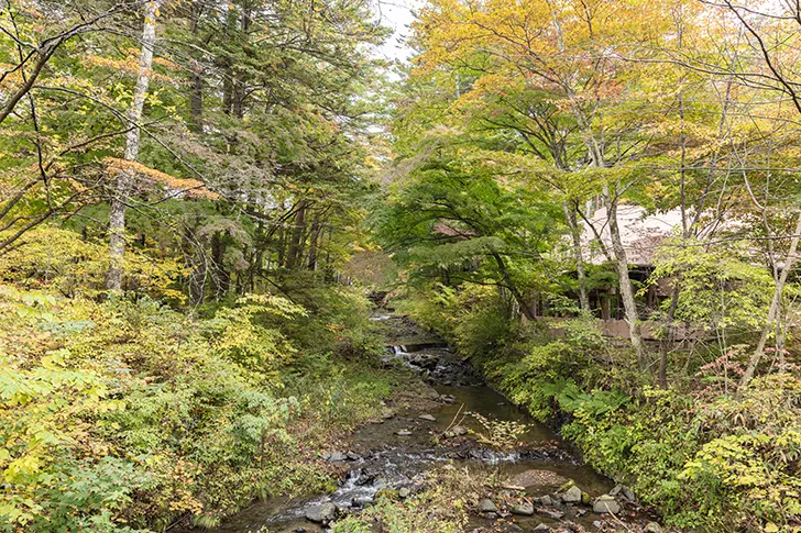 軽井沢の自然のフリー写真素材