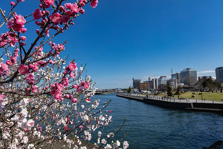 横浜 赤レンガパークからの景色のフリー写真素材