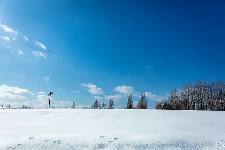 Free Snow Scene Photo Material