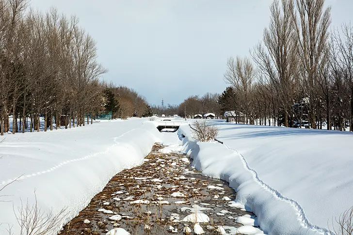 Free Snow Scene Photo Material