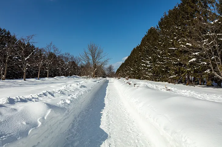 モエレ沼付近の雪景色のフリー写真素材