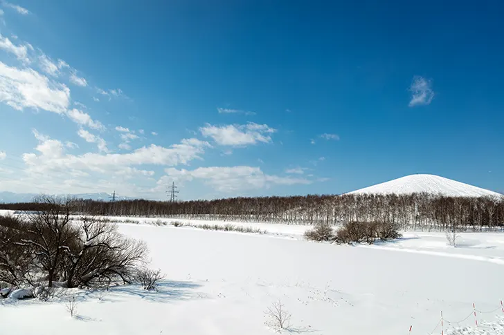 モエレ沼付近の雪景色のフリー写真素材