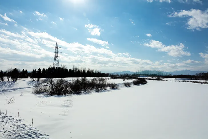 モエレ沼付近の雪景色のフリー写真素材