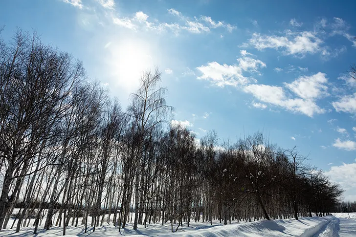 モエレ沼付近の雪景色のフリー写真素材