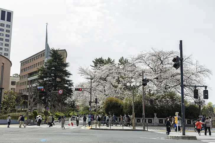 四ツ谷駅周辺のフリー写真素材