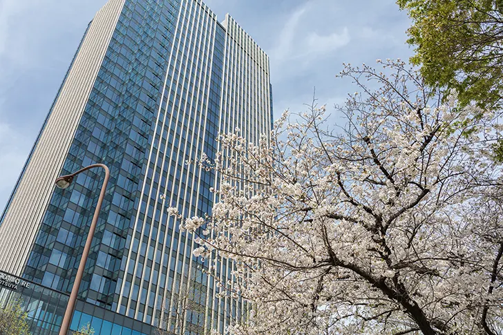 高層ビルと桜のフリー写真素材