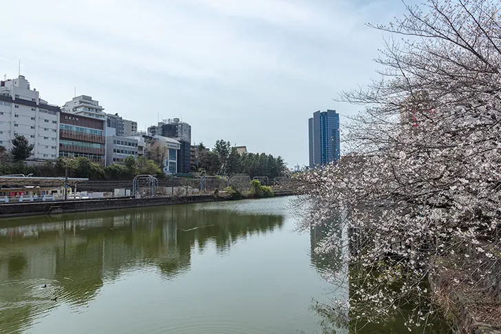 Free Around Ichigaya Station Photo Material