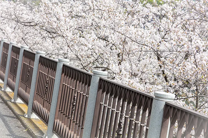 Free Fences around Ichigaya Station Photo Material