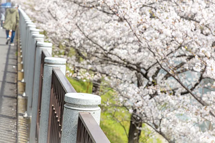 Free Fences around Ichigaya Station Photo Material