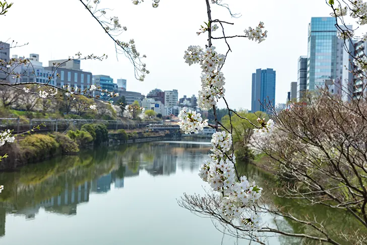 Free Around Ichigaya Station Photo Material